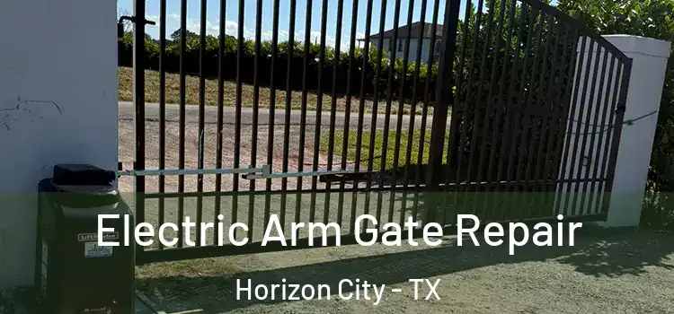 Electric Arm Gate Repair Horizon City - TX