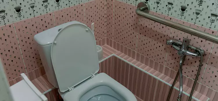Meeting Diverse Needs With Accessible Restroom Solutions in Horizon City, TX